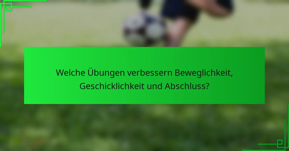 Welche Übungen verbessern Beweglichkeit, Geschicklichkeit und Abschluss?