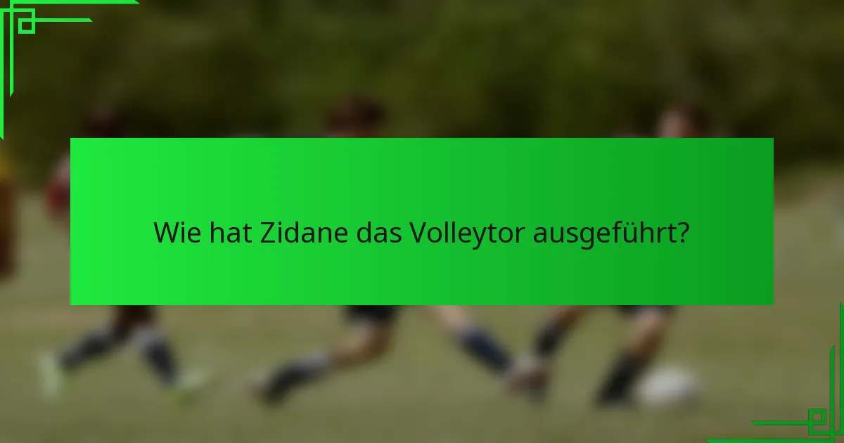 Wie hat Zidane das Volleytor ausgeführt?